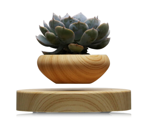 Auraz™  Magnetic Levitation Plant Pot