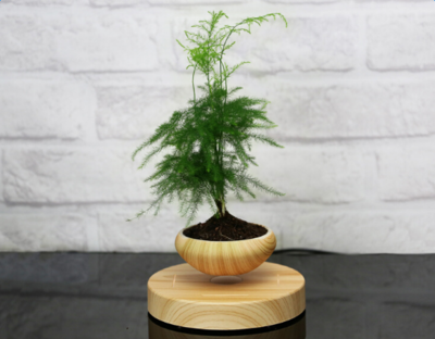 Auraz™  Magnetic Levitation Plant Pot